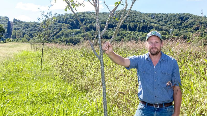 Adam Taylor stands in a field with his hand resting in a sapling.