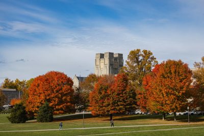 fall leaves in trees with stone campus buildings behind them.