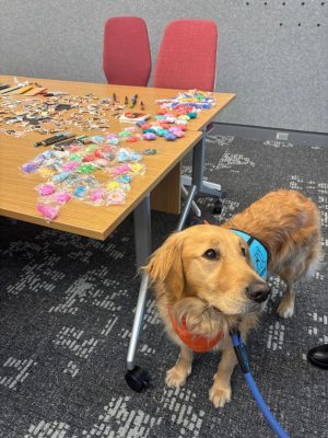 Therapy Dogs & Positive Journaling event hosted in the D.C. Area. (Photo by Jaelen White for Virginia Tech)