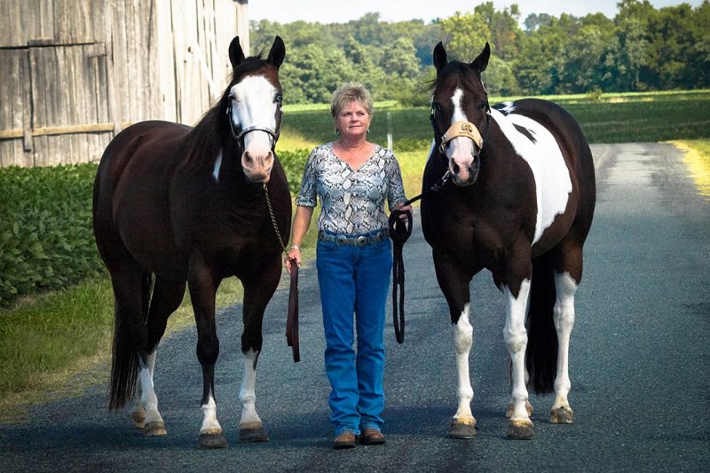 Gina Clifton with her two american paint horses. 
