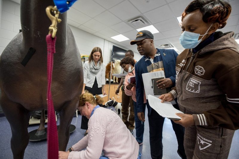 Faculty from Egerton University in Kenya and Makerere University in Uganda spent time at the veterinary college to learn Competency-Based Veterinary Education Principles that they can then use to integrate into their curricula. Photo by Andrew mann for Virginia Tech. 