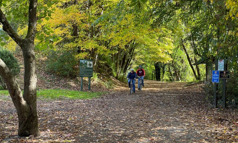 Picture of cyclists on the Virginia Creeper Trail.