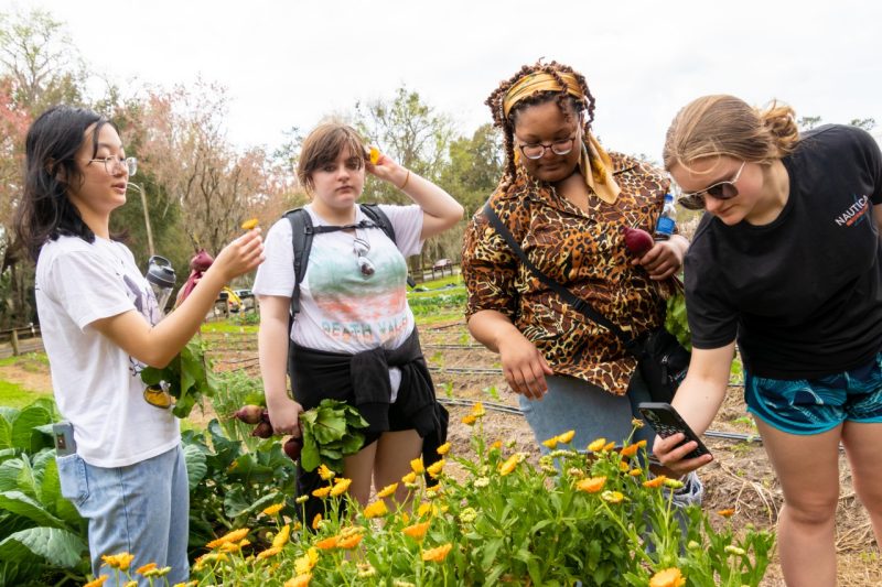 TRIO Four teens gather around yellow flowers, picking them and putting them in their hair.
