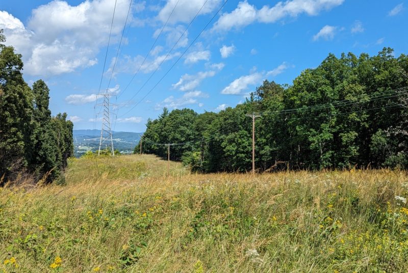 A tall grassy stretch of land with power lines running through it, surrounded by trees and mountains.