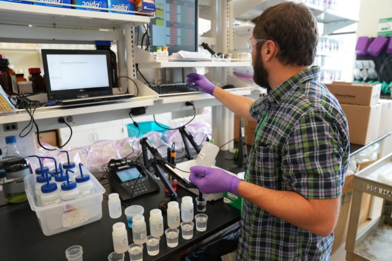 A test for pH levels in water samples is done in a lab.