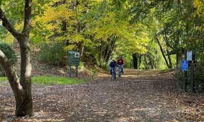 Center for Economic and Community Engagement helps Mount Rogers region boost outdoor tourism