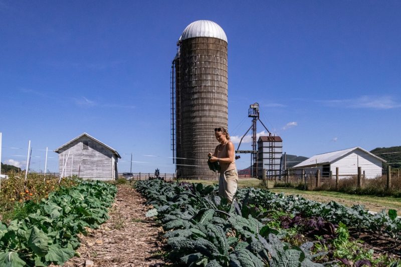 A woman picks vegetables in a garden with silos in the background.