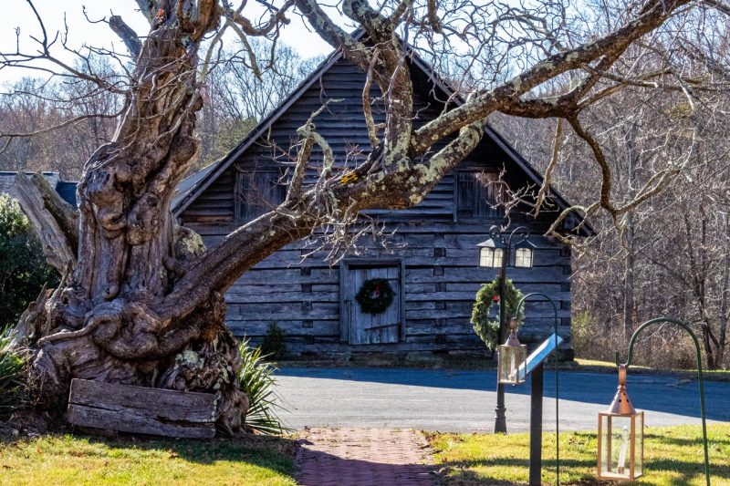An old tree stands near a wooden barn-like building with a Christmas wreath hanging from its door.