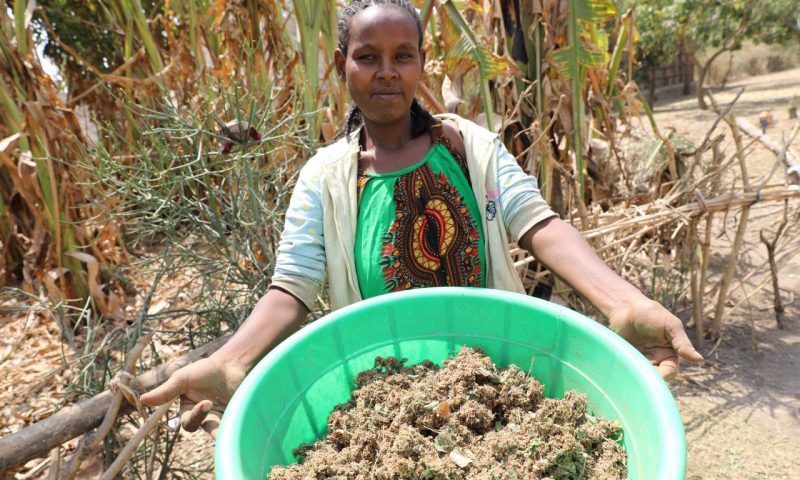 An Ethiopian farmer holding a bowl of seeds